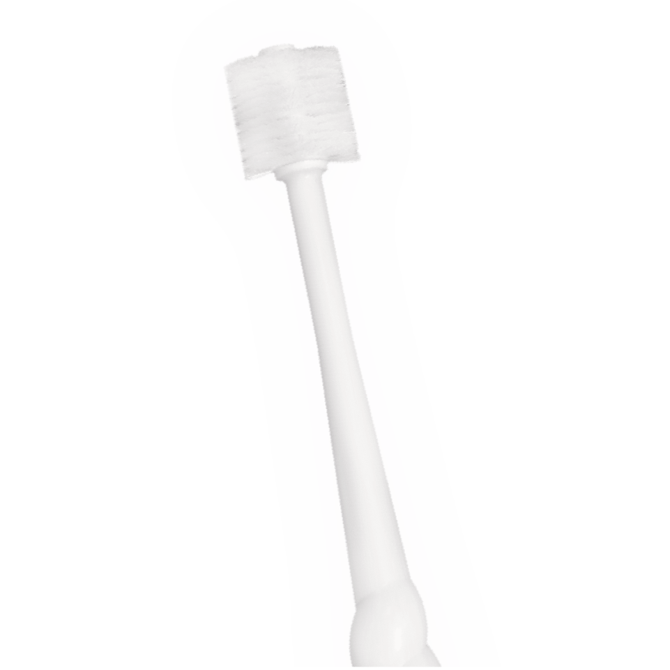 360⁰ Tooth & mouth brush